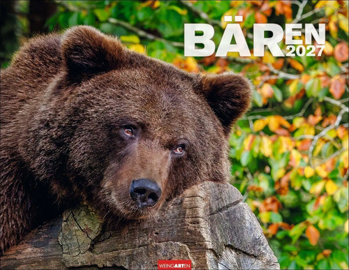 Bären kalender 2027 - bären,