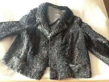 Grauer PERSIANER kurze