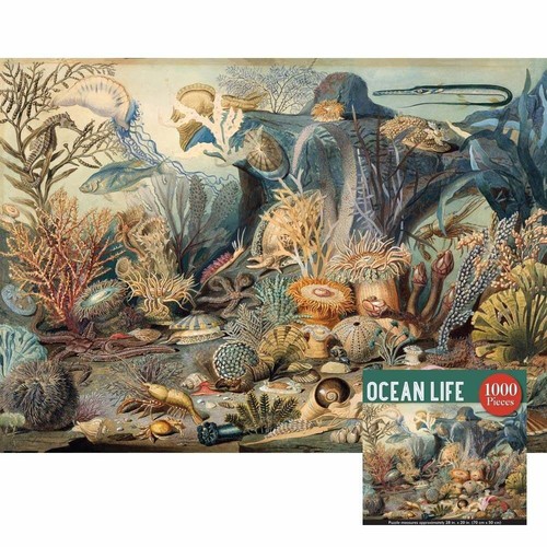 Peter pauper press puzzle - peter,