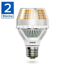 LED Leuchte LED Leuchtmittel Lampe 4000lm A19 E27 Warmweiß GLS Birne CE 25W*2