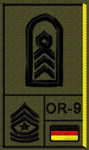 Rangabzeichen nato - bw, nato-