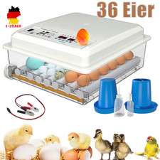 36Eier Inkubator Brutkasten