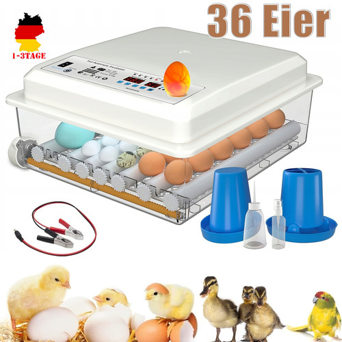 Inkubator brutautomat eier - inkubator,