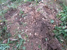 Erdaushub teilweise Humus feines Material wer alles holt bekommt 500 euro