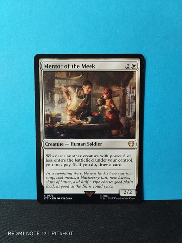 Mentor the meek - the,
