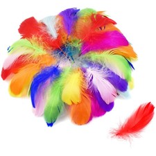 Federn, Bastelfedern