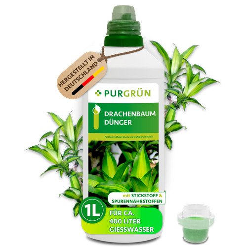 Purgrün drachenbaum dünger - purgrün,