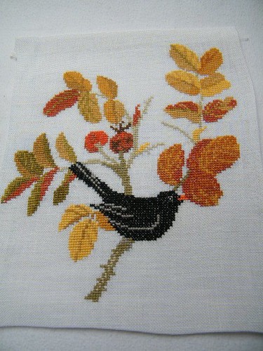 Kreuzstich stickbild vogel - kreuzstich,