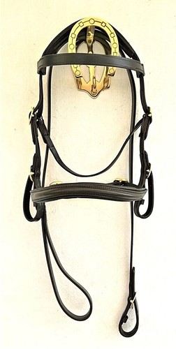 Shetland inhand leder show - shetland,
