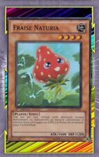 Naturia Erdbeere HA04-FR021