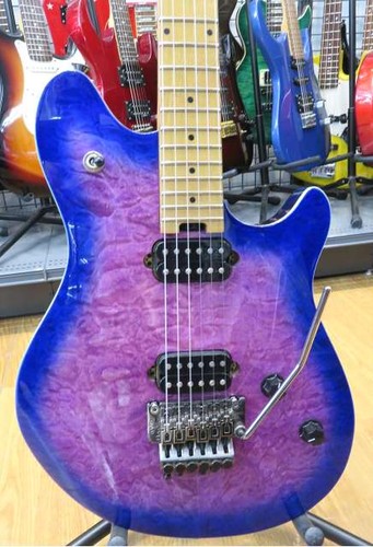 Evh wolfgang standard - standard, qm