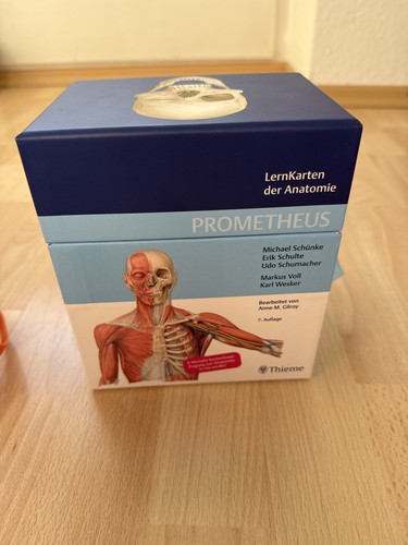 Lernkarten thieme - 3, x