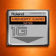Roland 1GB CF CompactFlash