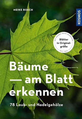 Bäume blatt erkennen von - erkennen,