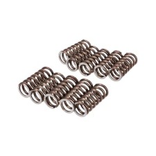 Kupplungsfedern Satz MOGA 10