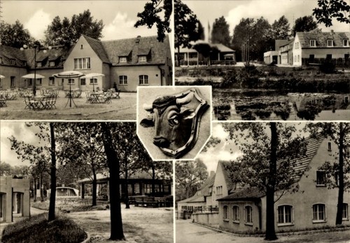 Rotta kemberg dübener - rotta,
