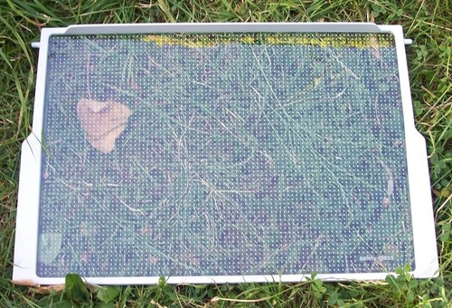 Glasboden 32 6 cm - 48,5,