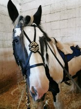 Einzelstück * Barock ZAUM *