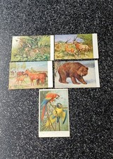 Vintage Postkarten Konvolut