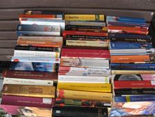 45 Romane Bücher Konvolut