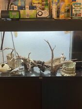 Juwel Rio 120 Aquarium mit Unterschrank und Zubehör