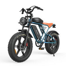 750w Dual Motor Electric Bike
