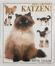 David Taylor Katzenbuch
