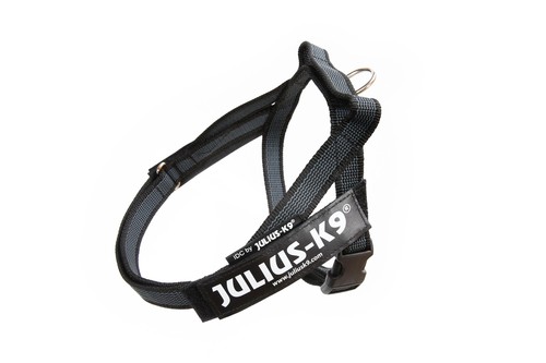 Juliusk9 idc color gray - juliusk9,, gray®