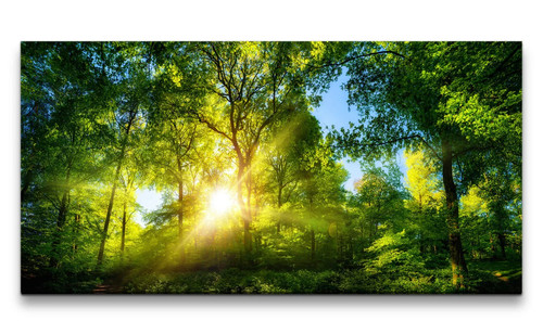 120x60cm leinwandbild grüner - 120x60cm,