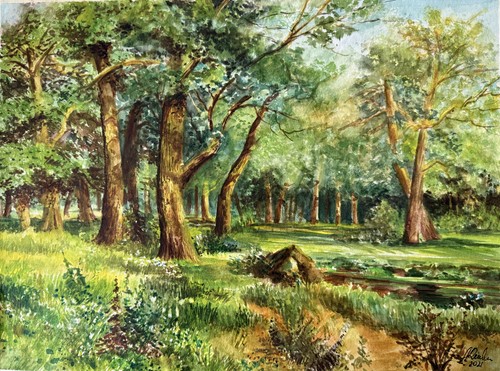 Aquarellbild original 40x30 - aquarellbild,