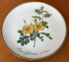 Hutschenreuther Wandteller