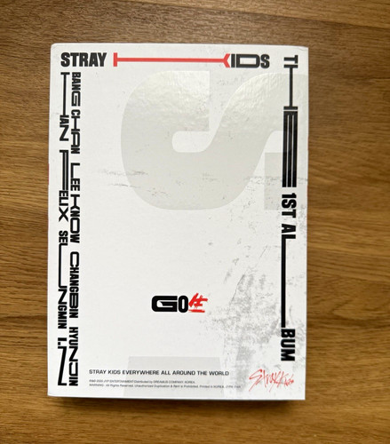 Stray kids go生 - stray,