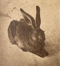 Albrecht Dürer Hase Fotografie XIX Adolphe Braun Poitevin Und Swan Verfahren RR