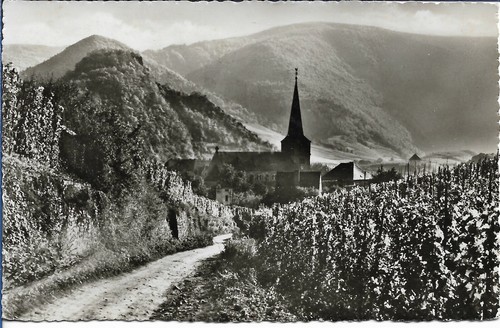 Mayschoss ahr weinberge - mayschoss,, ahr,