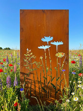 HINGUCKER Wiese 7 sehr