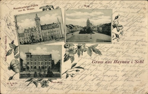 Chojnów haynau schlesien - chojnów,