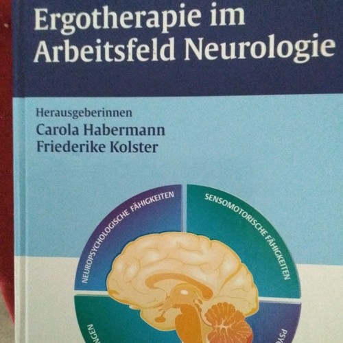 Thieme ergotherapie - ergotherapie, im