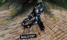 Bullyzei Norwegergeschirr