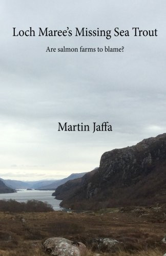 Loch maree missing sea - loch, maree's