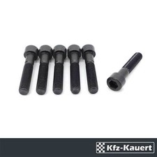 FWK 6x Zylinderschraube 10x50