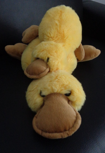 Nici ente emma liegend - 2,