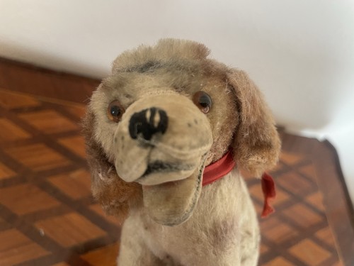 Antiker steiff cocker - antiker, spaniel
