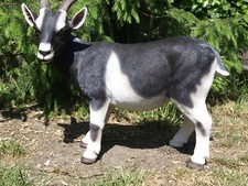 Ziege Deko Figur lebensecht