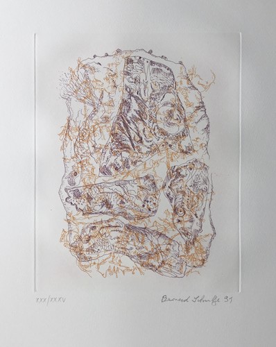Bernard schultze große - bernard,