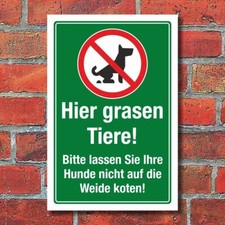 Schild Tiere Weide Hunde