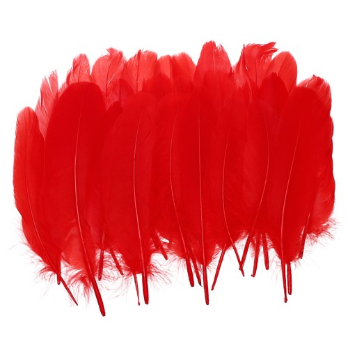 Natürliche gänsefedern - 4-6",