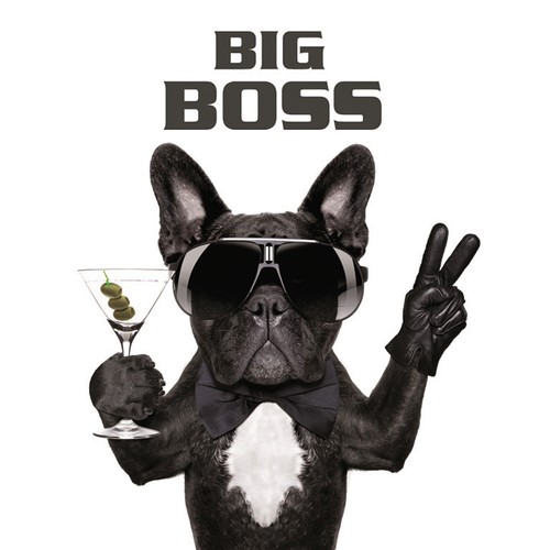 Keilrahmenbild big boss - keilrahmenbild,