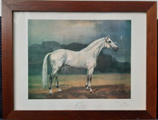 Lithografie Pferdebild