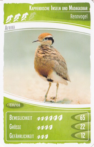 Netto ozeanien - ,