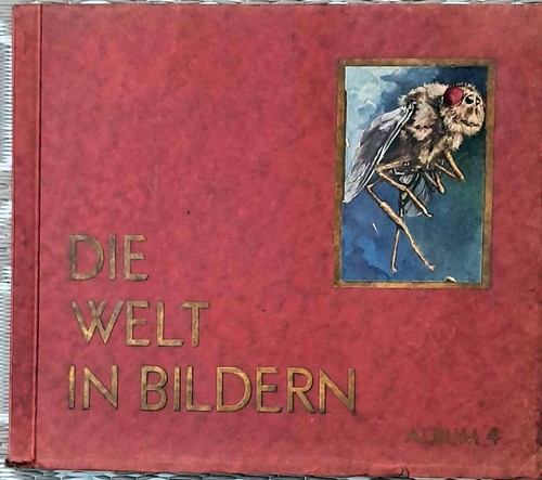 Die welt bildern album - bildern, 4.